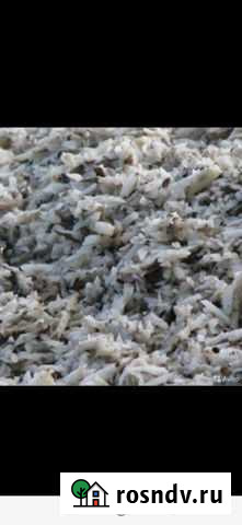 Жом свекловичный доставка Головчино - изображение 1