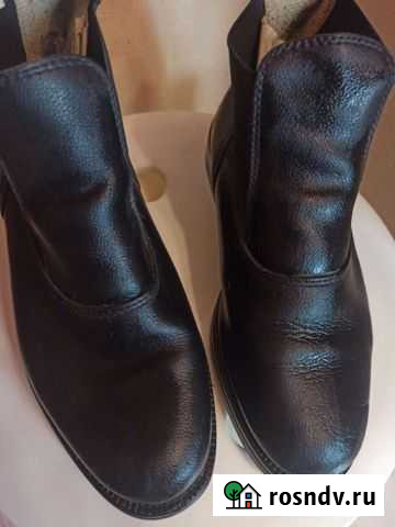Конные ботинки 37 р кожа Калининград - изображение 1
