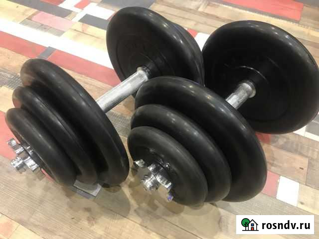 Гантели с прорезиненными блинами 20кг Щербинка - изображение 1