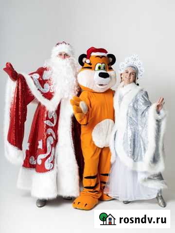 Дед Мороз и Снегурочка на праздник Томск - изображение 1