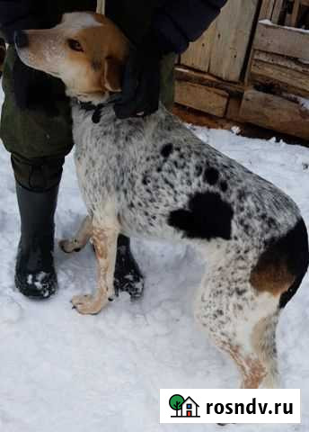 Ищет семью молодая девочка Калуга - изображение 1