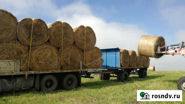 Продам сено в рулонах Горно-Алтайск - изображение 1