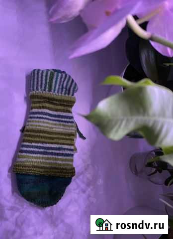 Вязаный свитер с капюшоном для тоя/чихуа-хуа Электросталь - изображение 1