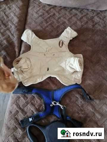 Камбензон и павадок Новошахтинск - изображение 1