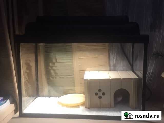 Аквариум Ступино - изображение 1