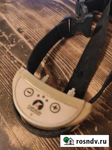 Ошейник антилай Черноморское - изображение 1