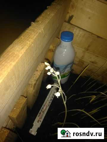 Цветы срезка ландыши Серпухов - изображение 1