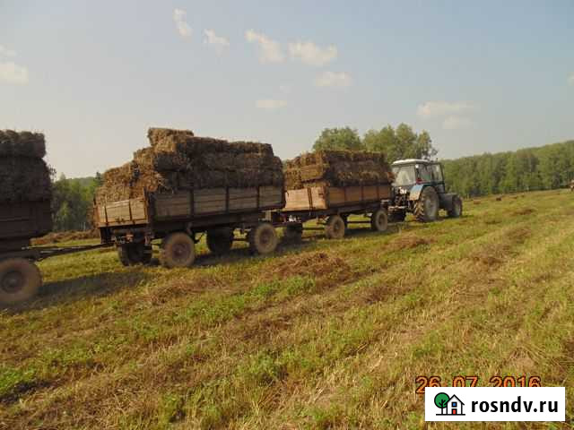 Продам сено в рулонах Дубна - изображение 1