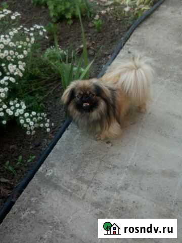 Вязка Белореченск - изображение 1