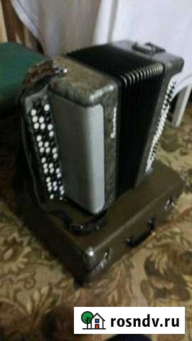 Баян Белгород - изображение 1