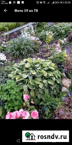 Для сада Копейск - изображение 1