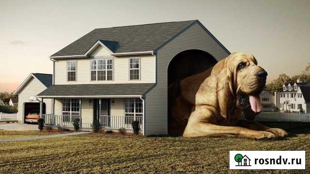 Гостиница для собак Благовещенск - изображение 1