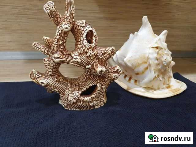 Декорации для аквариума Тольятти - изображение 1