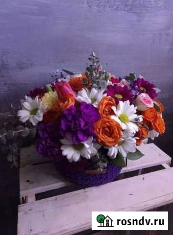 Цветы хризантемы Белгород - изображение 1