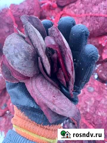 Корм для скота Ржев - изображение 1