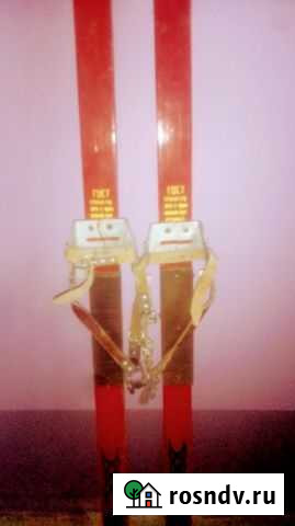 Лыжи Брянск Ростов-на-Дону - изображение 1