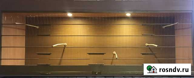 Пролетка для птиц Грязи - изображение 1