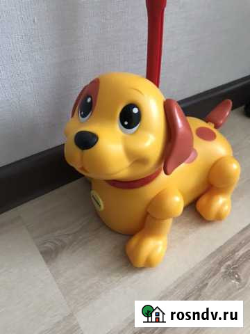 Интерактивная игрушка -каталка Tomy Щенок Погуляй Мытищи - изображение 1
