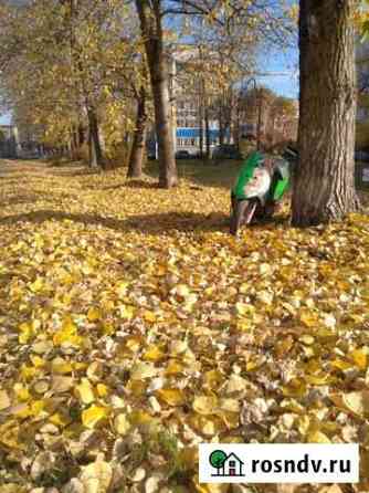 Сузуки сепия Малое Верево