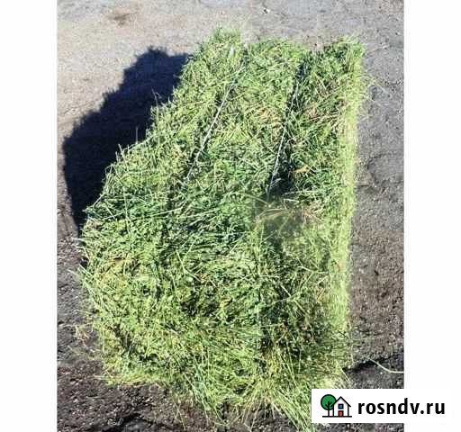 Люцерна Волгодонск - изображение 1