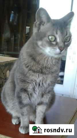 Удивлялочка Владимир - изображение 1