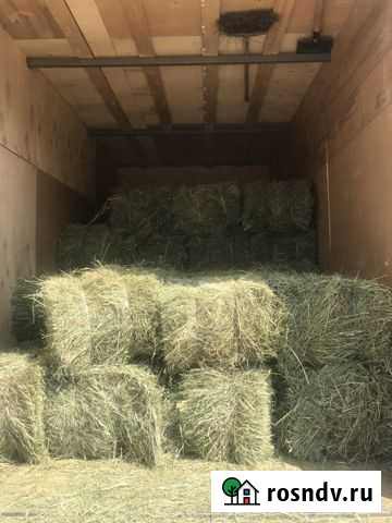 Сено в тюках (Бесплатная доставка) Видное - изображение 1
