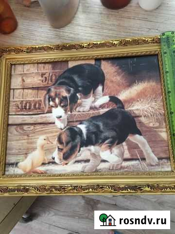 Картина 37*48 Чита - изображение 1