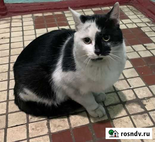 Экстренная помощь Балашиха - изображение 1