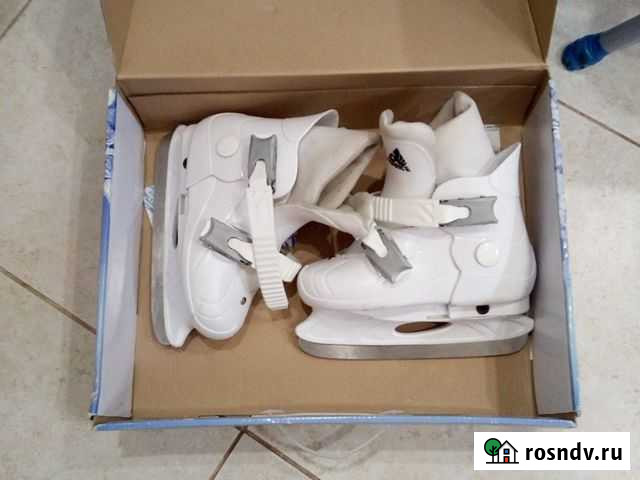 Коньки Брянск - изображение 1