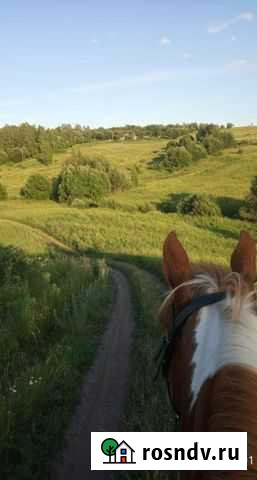 Продам конский навоз в мешках Щекино - изображение 1