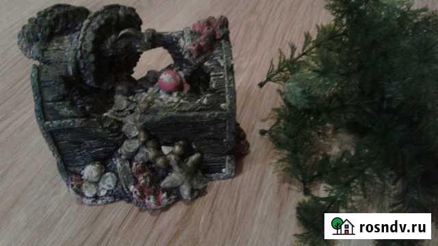 Продаю для аквариума Киров - изображение 1