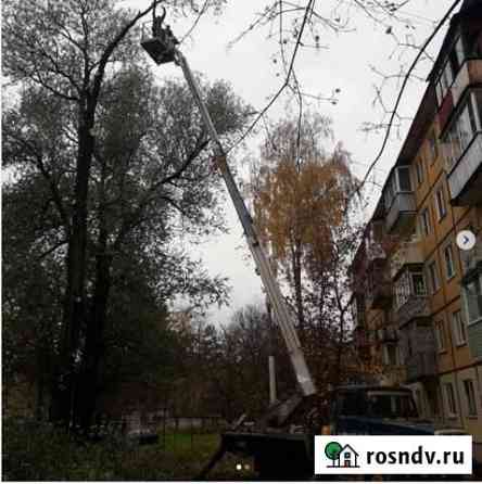 Спил, обрезка деревьев Тверь
