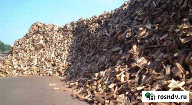 Колотые пеньки березы Киржач - изображение 1