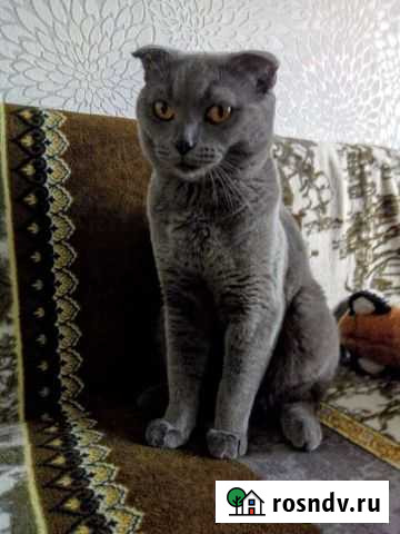 Ищем невесту Юрга - изображение 1