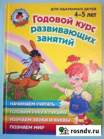 Годовой курс развивающих занятий для 4-5 лет Владимир - изображение 1