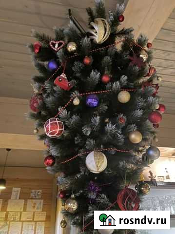 Официант Теберда - изображение 1