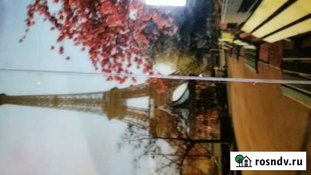 Стеклянные витражи 2 штуки Дубовое - изображение 1