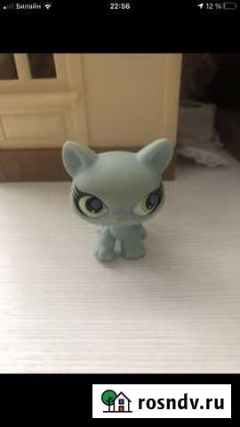Littlest Pet Shop кот стоячка Калининград - изображение 1