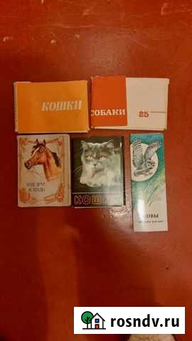 Советские открытки СССР наборы кошки собаки лошади Выборг - изображение 1