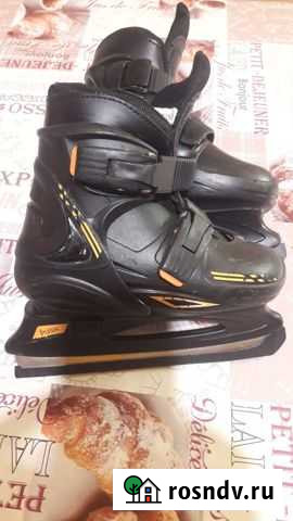 Коньки детские раздвижные Рамешки - изображение 1