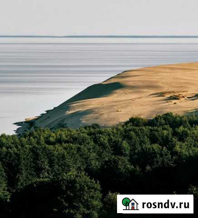 Экскурсия-Куршская коса без дополнительных сборов Калининград - изображение 1