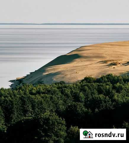 Экскурсия-Куршская коса без дополнительных сборов Калининград - изображение 1