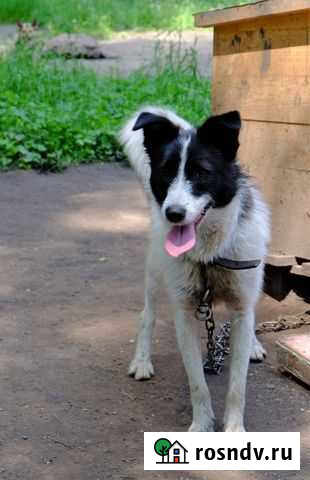 Ласковая девчушка хочет домой Новокузнецк - изображение 1