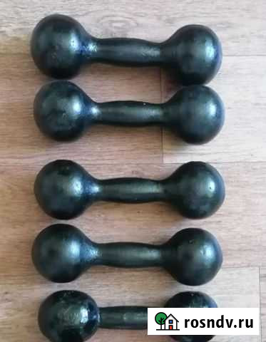 Гантели 5 кг, 6 кг Саранск - изображение 1