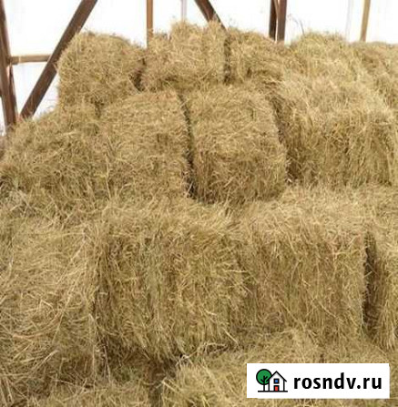 Сено в тюках Зеленокумск - изображение 1