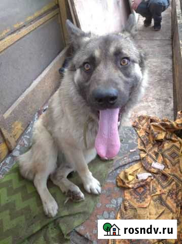 Очень нужен дом Екатеринбург - изображение 1