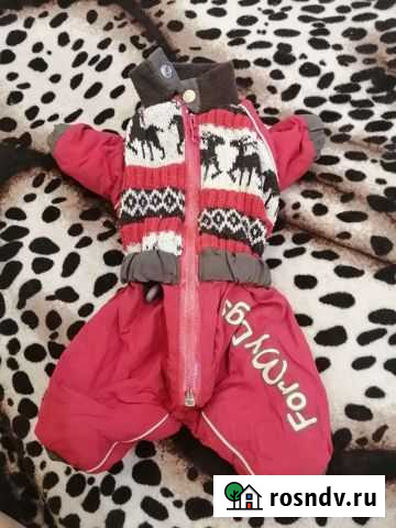 Комбинезон демисезонный Иркутск - изображение 1