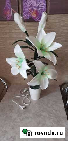 Светильник Петрозаводск - изображение 1