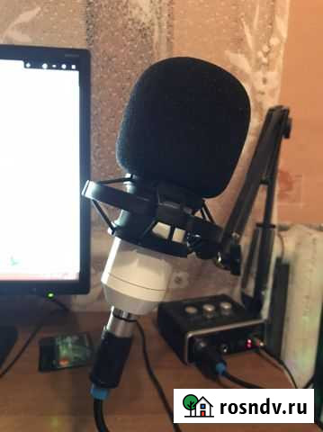 Микрофон BM 800 Калуга - изображение 1