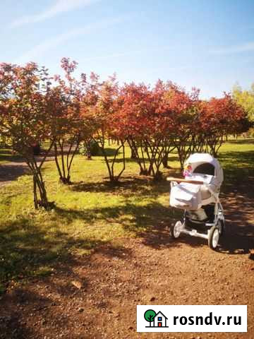 Коляска Тамбов - изображение 1